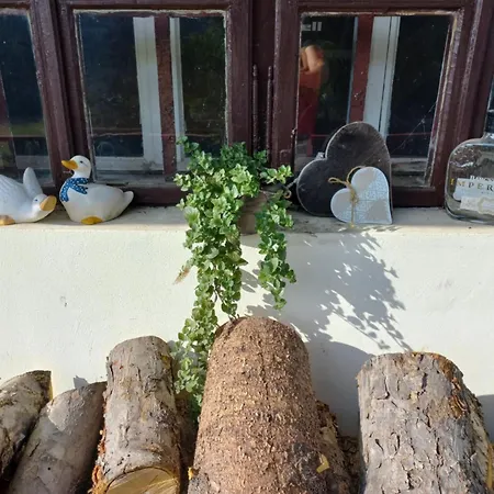 Panoramahaus Apartamento *