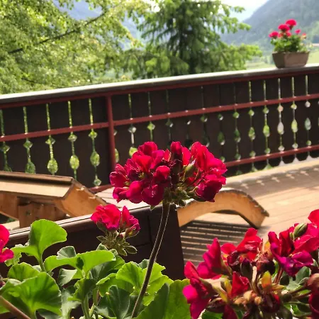 Panoramahaus * Радентайн