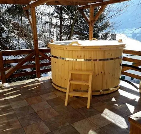 Апартаменты Panoramahaus *