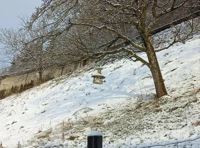 Panoramahaus Апартаменты Радентайн