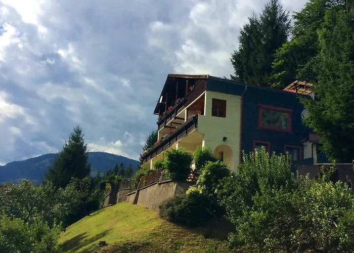 Апартаменты Panoramahaus *