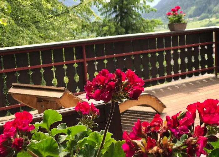 Panoramahaus * Радентайн